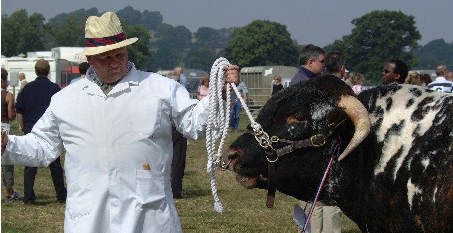 Celebrate all things farming with a visit to the UK’s biggest traditional one-day agricultural show.  